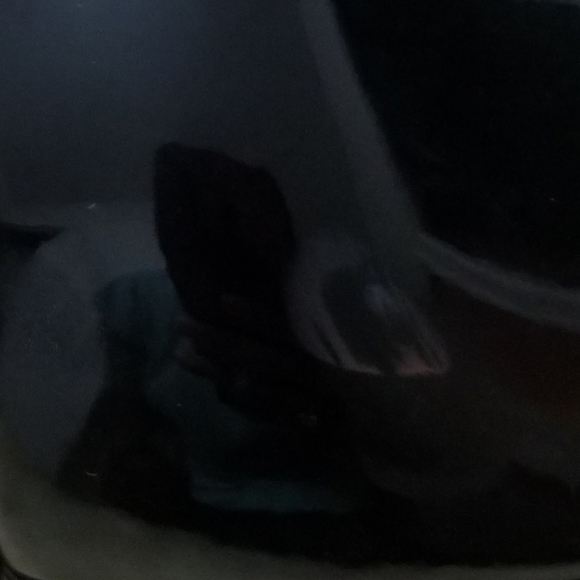 Nine West Wedges - Picture 7 of 7